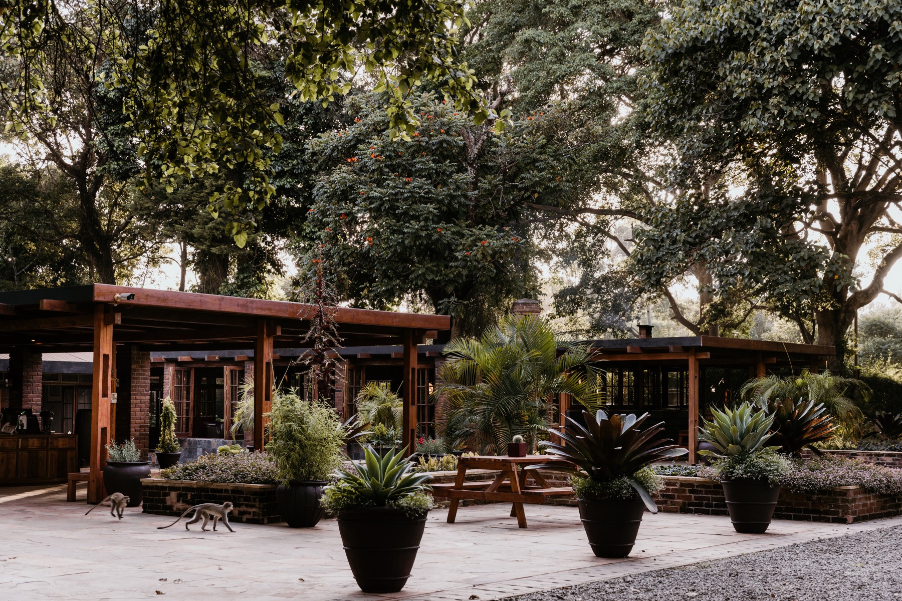 Arusha Coffee Lodge